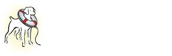 American-Brittany-Rescue-Header@2x