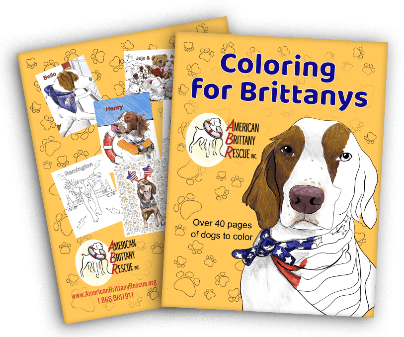 Coloring-For-Brittanys