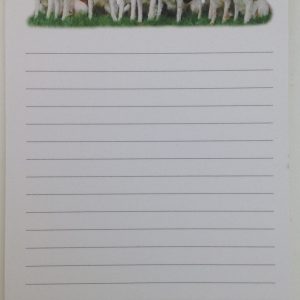 ABR Notepads