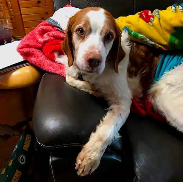 The Jake Fund Donation (Yearly Subscription)