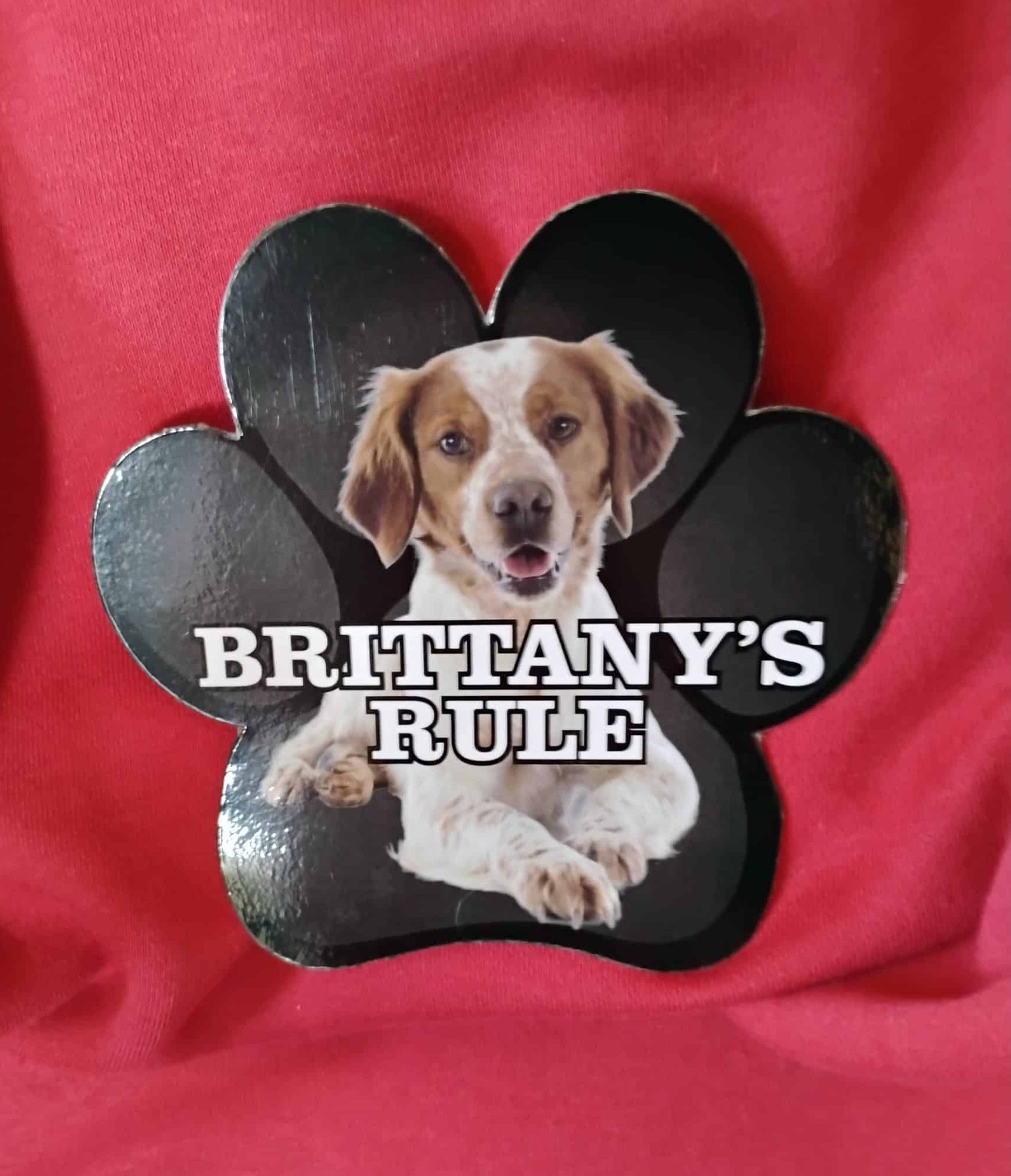 Brittanys Rule Pawprint - Magnet
