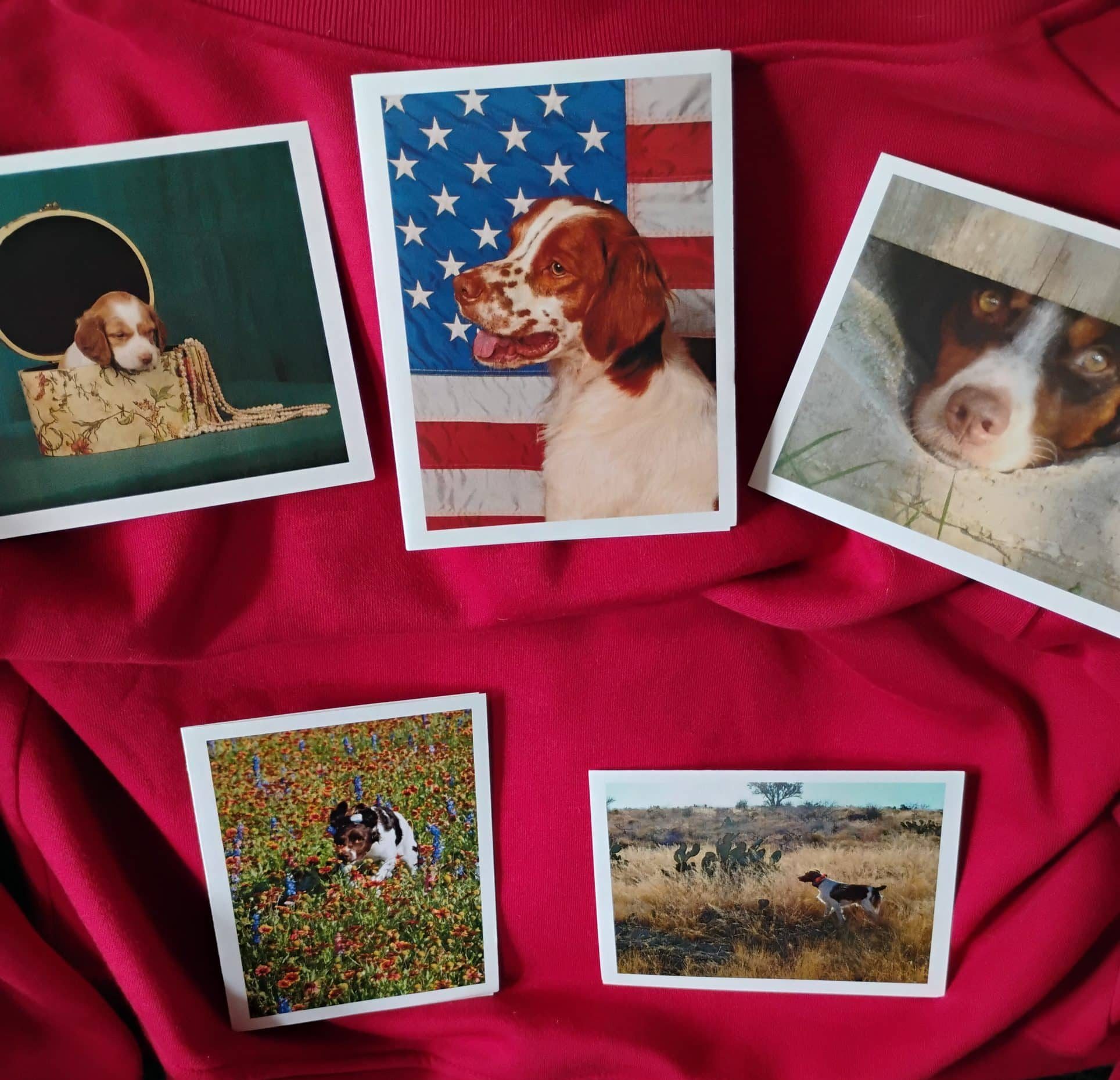 Assorted Brittany Notecards