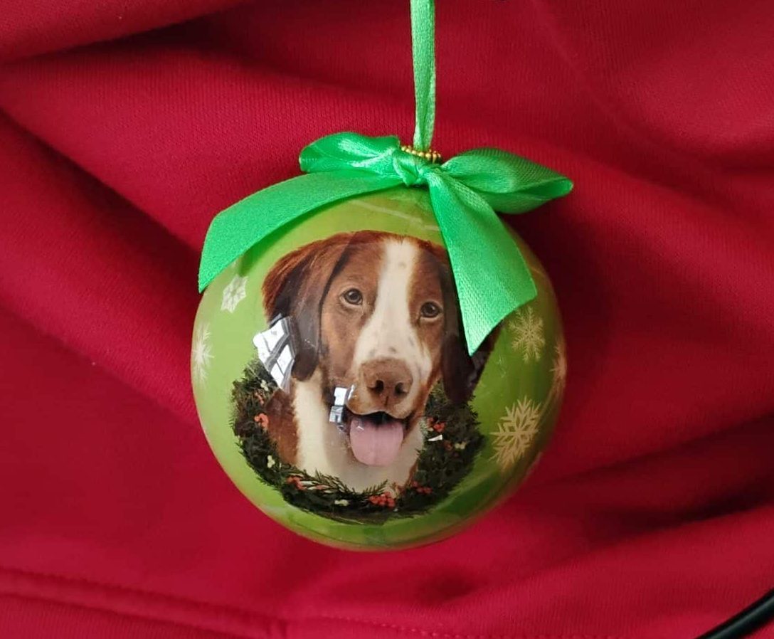 Round Festive Brittany Ornament