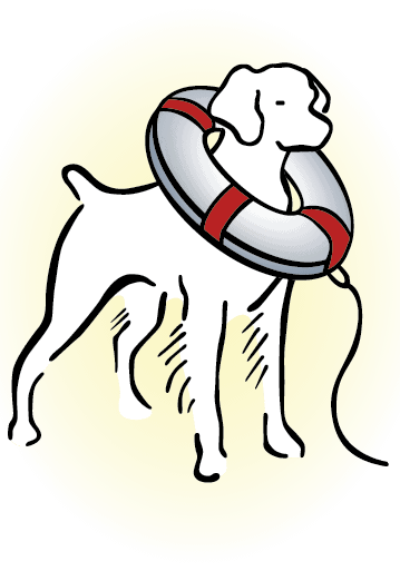 American Brittany Rescue-Site Icon