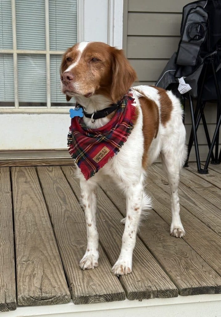 Bug - 20042612 - GA (2.1)