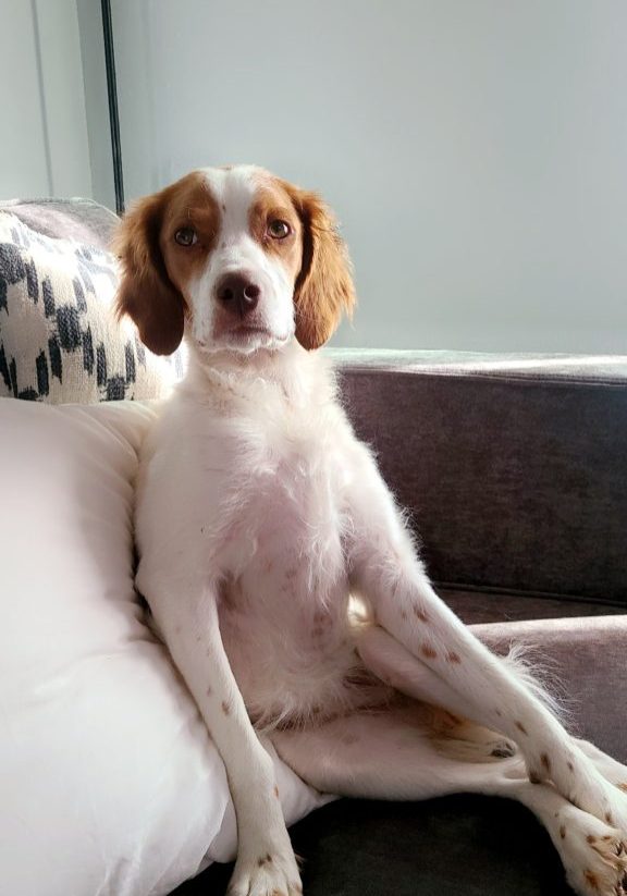 Ck4KTFNuYXBjaGF0LzEzLjI2LjAuNDMgKFNNLUc5ODZVOyBBbmRyb2lkIDEzI0c5ODZVU1FTQ0hYTDEjMzM7IGd6aXApIFYvTVVTSFJPT00=